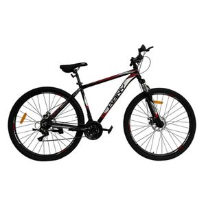 BICI.KANY TRAVEL R.29 BK-AL2902